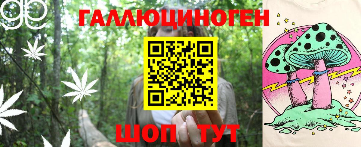 Псилоцибиновые грибы Psilocybe Кудрово
