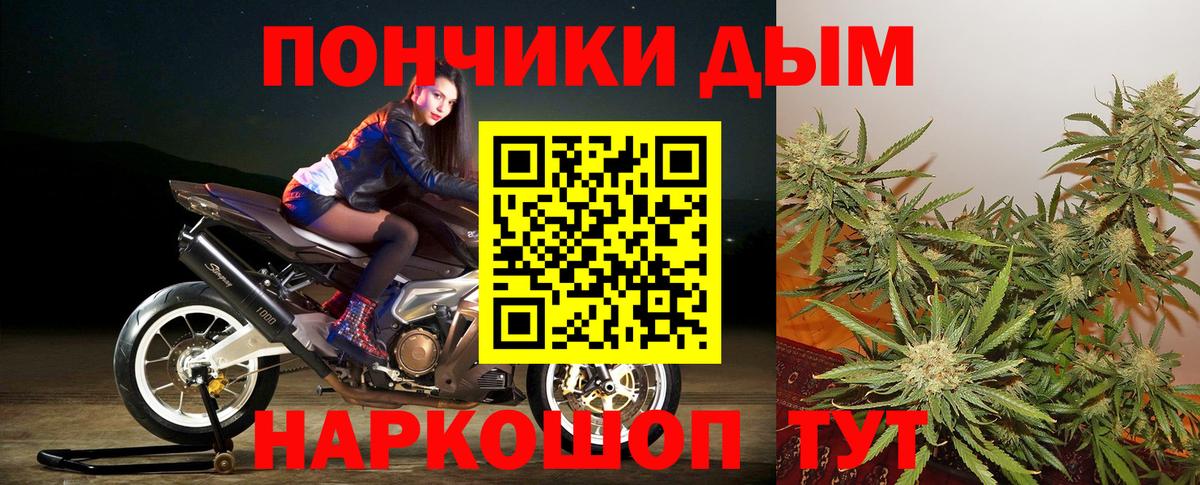Канабис план  Вход с VPN  Кудрово  Канабис тримм 